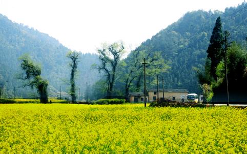 开化天气预报30天查询,开化县一个月天气