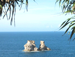 台湾万里海水浴场天气