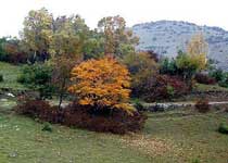 阳城析城山天气